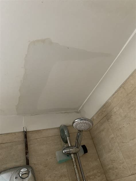 tile shower leaking through ceiling|How to Fix Shower Leaking Through Ceiling